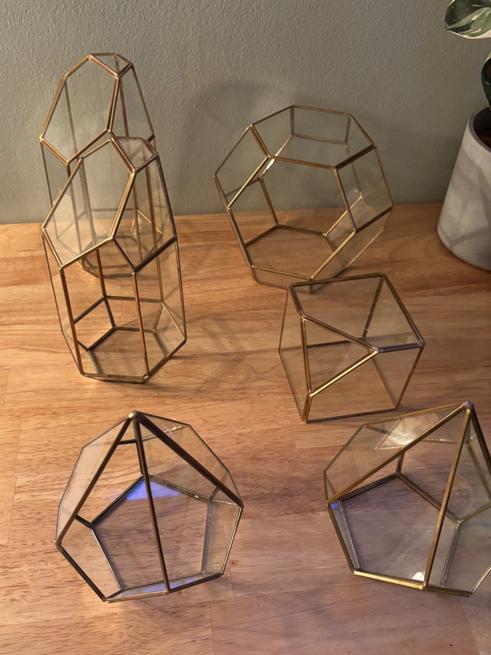 6 piece set gold terrariums Hobby Lobby
